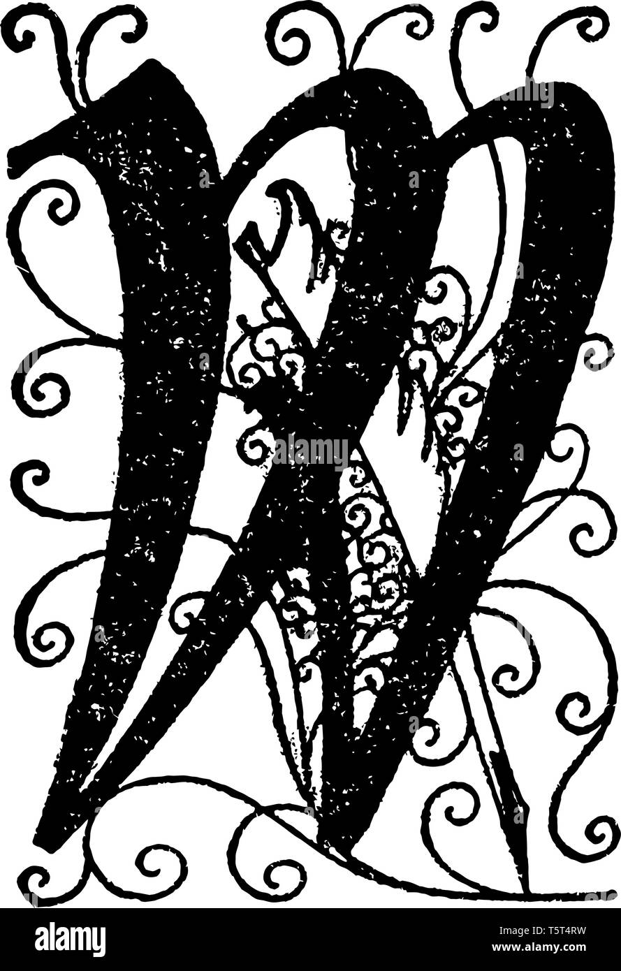 Das Bild zeigt die dekorativen Buchstaben W. Entwerfen hinter den Buchstaben in Kurve Format ist. Form des Schreibens ist in Schwarz Farbe, Vintage Linie zeichnen Stock Vektor