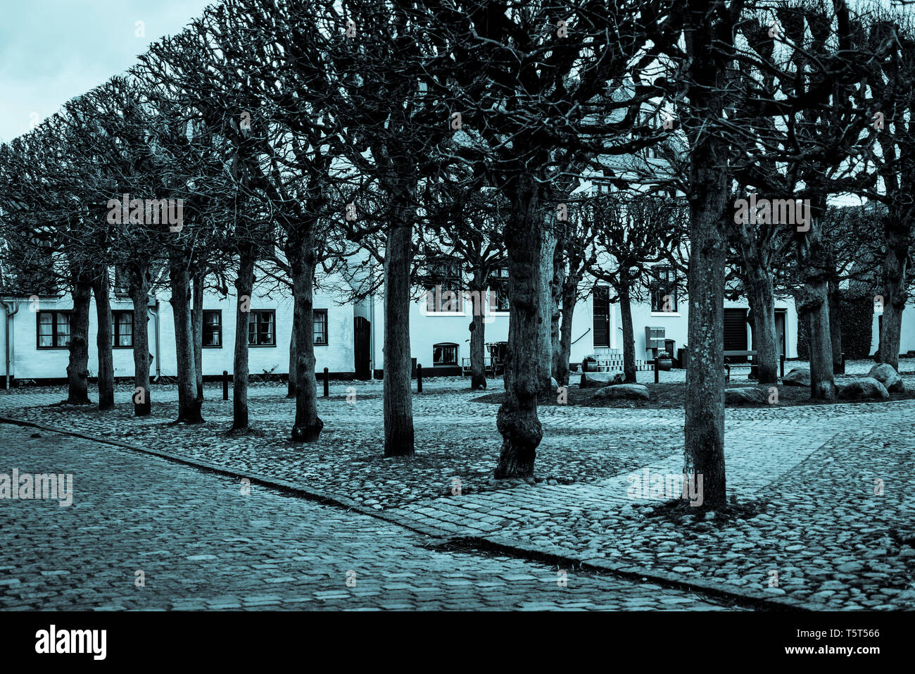 Malerische altmodische Platz mit Linie der Bäume im gut erhaltenen Dragor Dorf in der Nähe von Kopenhagen, Dänemark Stockfoto