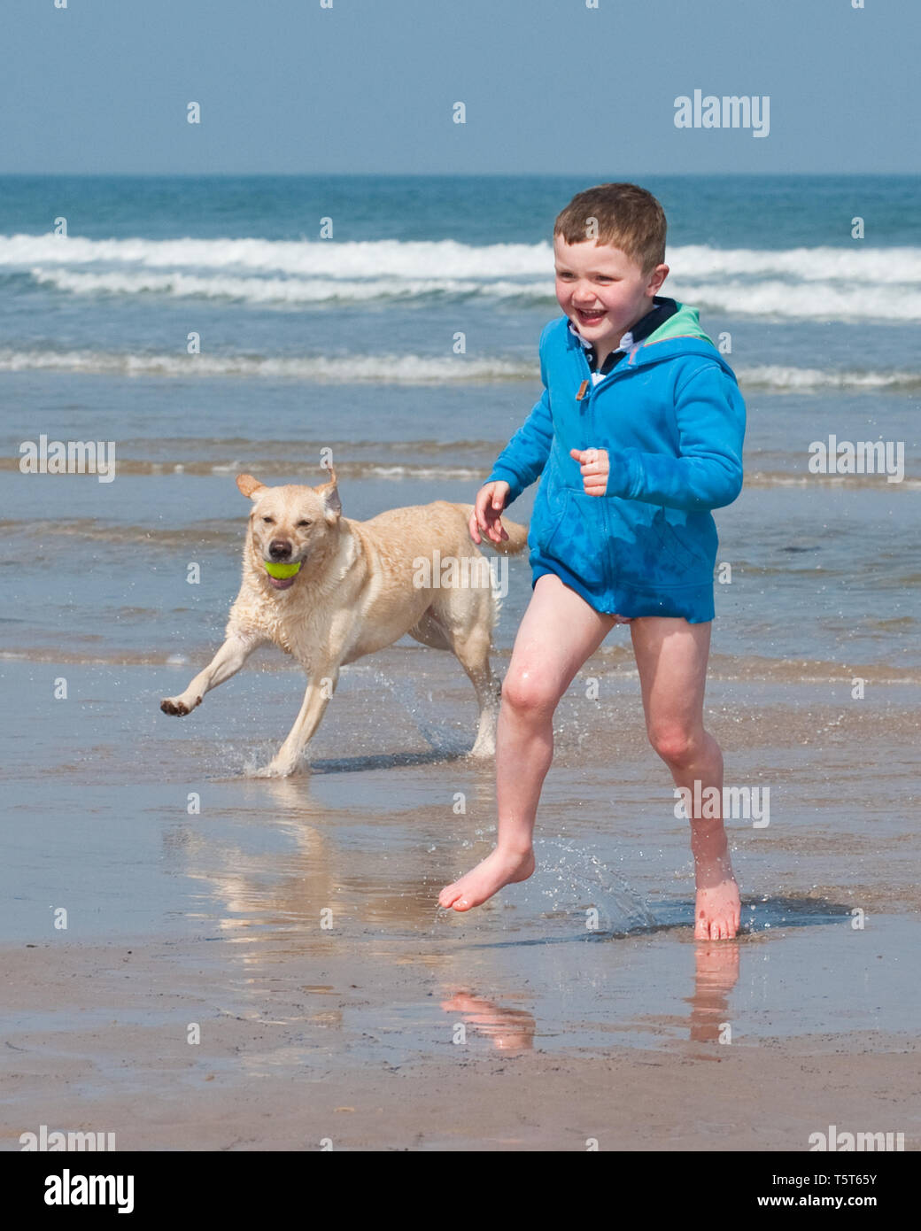 Jungen und seinem Hund am Sandstrand genießen Reise zum Meer Stockfoto