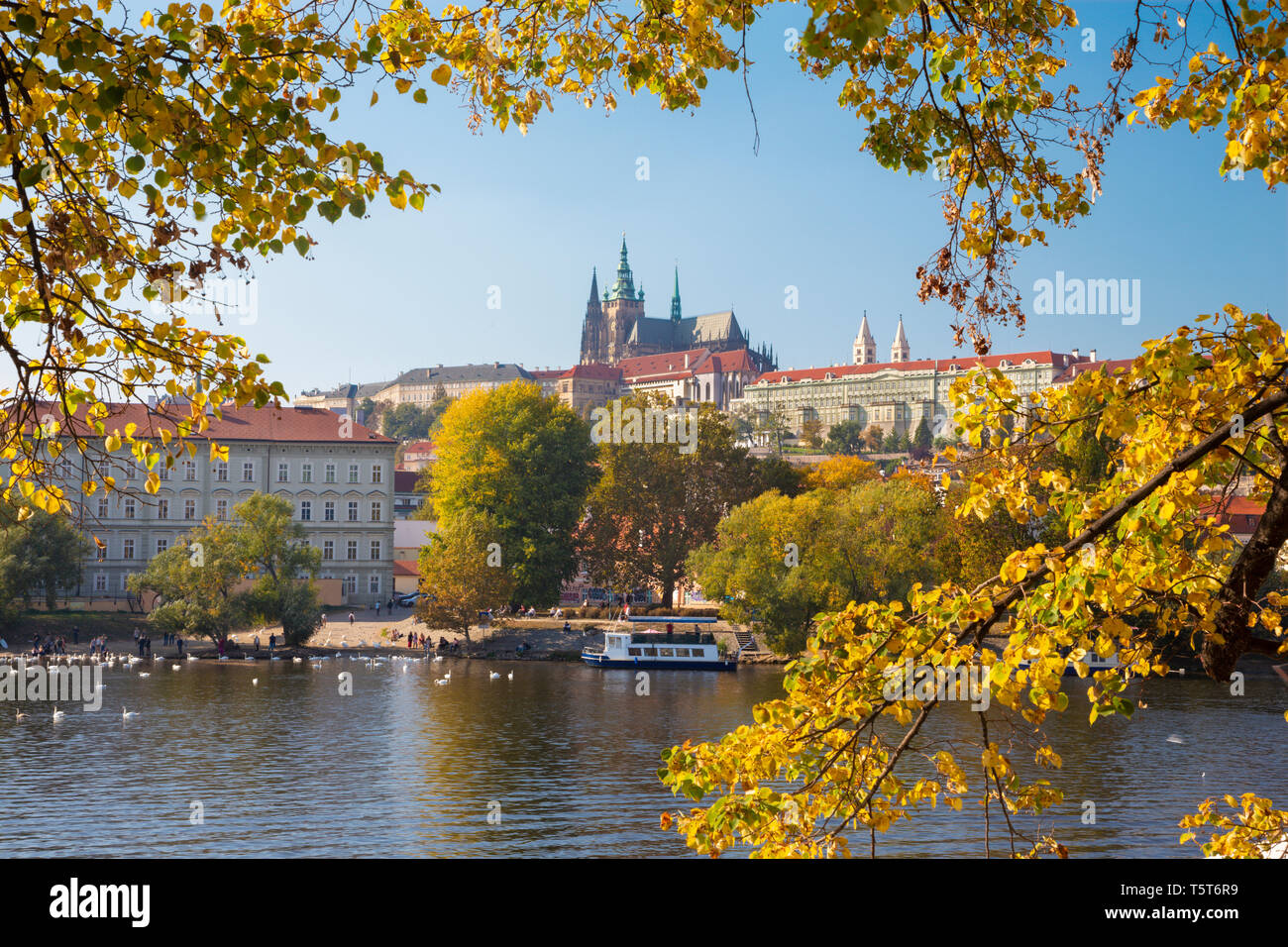 Prag - die Burg und die Kathedrale von der Moldau und im Herbst Blätter. Stockfoto