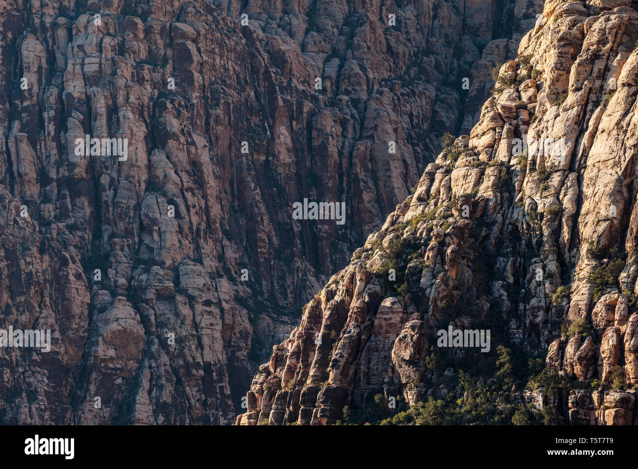 Die Schlucht am Eingang zu Ice Box Canyon, Red Rock Canyon National Conservation Area, Nevada, USA Stockfoto
