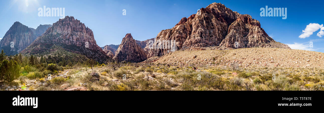 Suchen nach Pine Creek Canyon im Red Rock Canyon National Conservation Area, Nevada, USA. Stockfoto