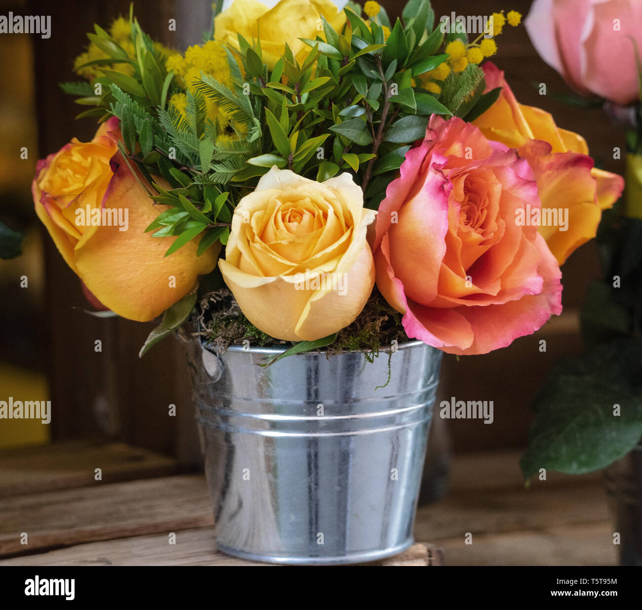 Florale Komposition mit bunten und duftenden Rosen und Mimosa in einem silbernen Topf Stockfoto