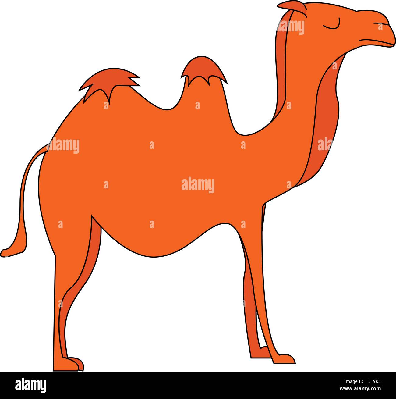 Vector Illustration einer orange Kamel auf weißem Hintergrund. Stock Vektor