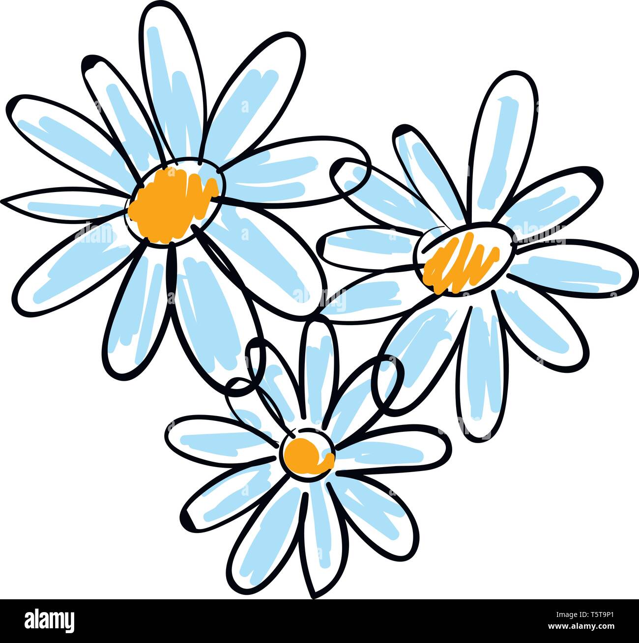 Weiß Kamillenblüten Vector Illustration auf weißem Hintergrund. Stock Vektor