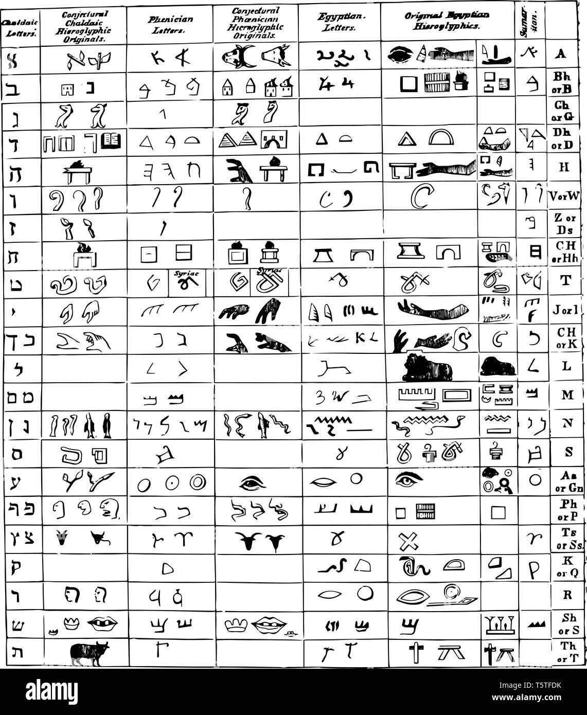 Diese Abbildung stellt die Hieroglyphen vs alte Sprache, vintage Strichzeichnung oder Gravur Abbildung. Stock Vektor