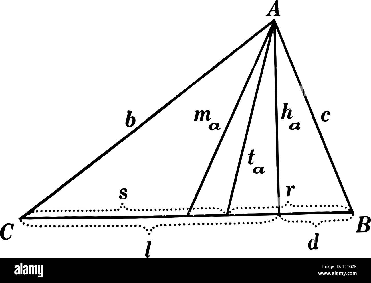 Ein Bild, das zeigt Teile des Dreiecks. In diesem Bild die Seiten, Winkel, mediane, Höhen, bisektoren und Segmente angezeigt werden, Dies ist ein Teil der. Stock Vektor