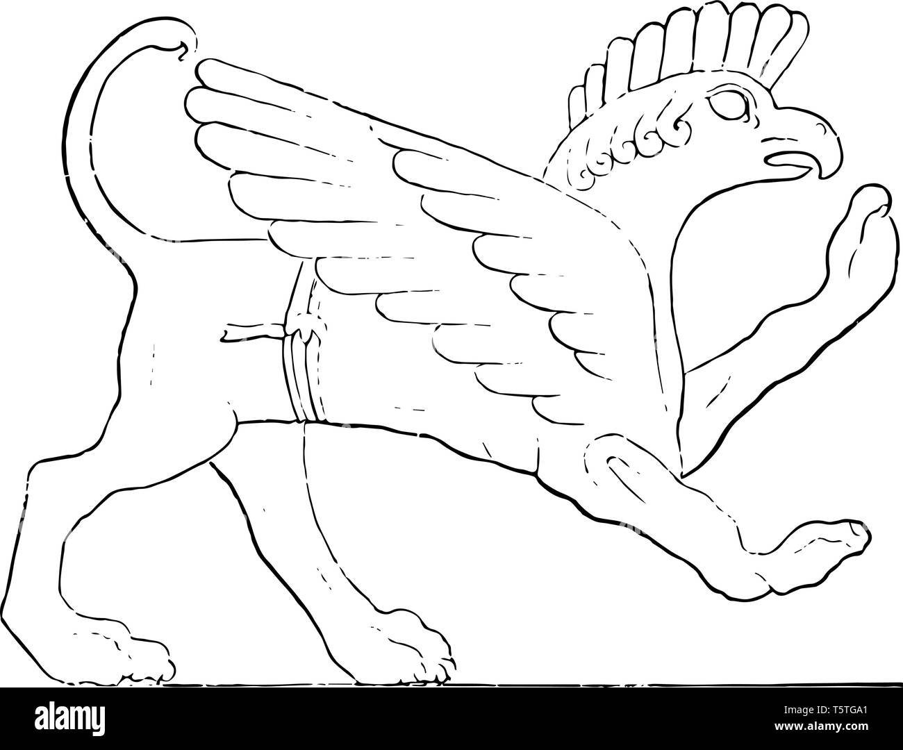 Dieses Bild besteht aus der Darstellung einer assyrischen Griffin, dass seine Gebäude geschmückt vor der persischen Eroberung, vintage Strichzeichnung oder engra Stock Vektor