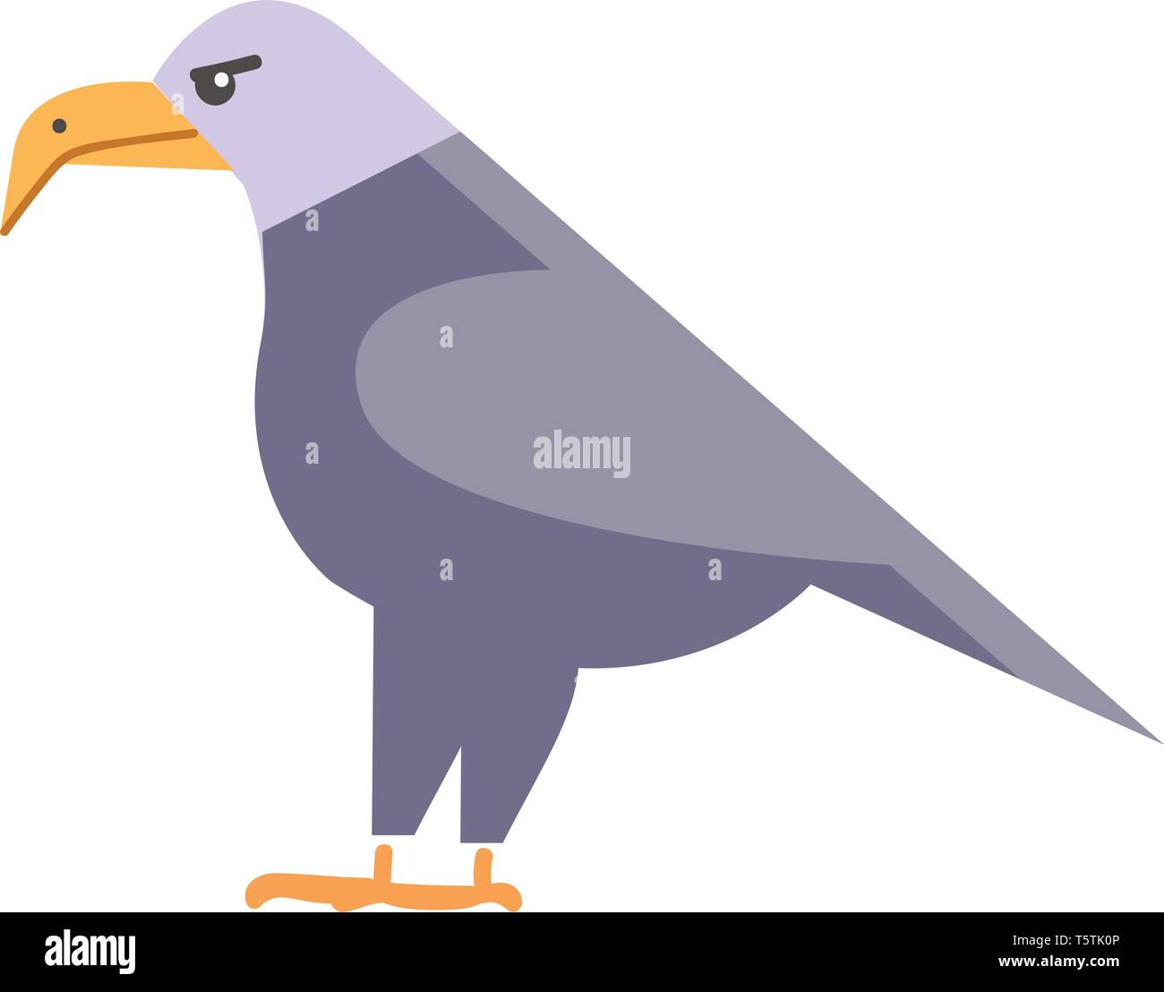 Raubvögel eagle Vector oder Farbe Abbildung: Stock Vektor