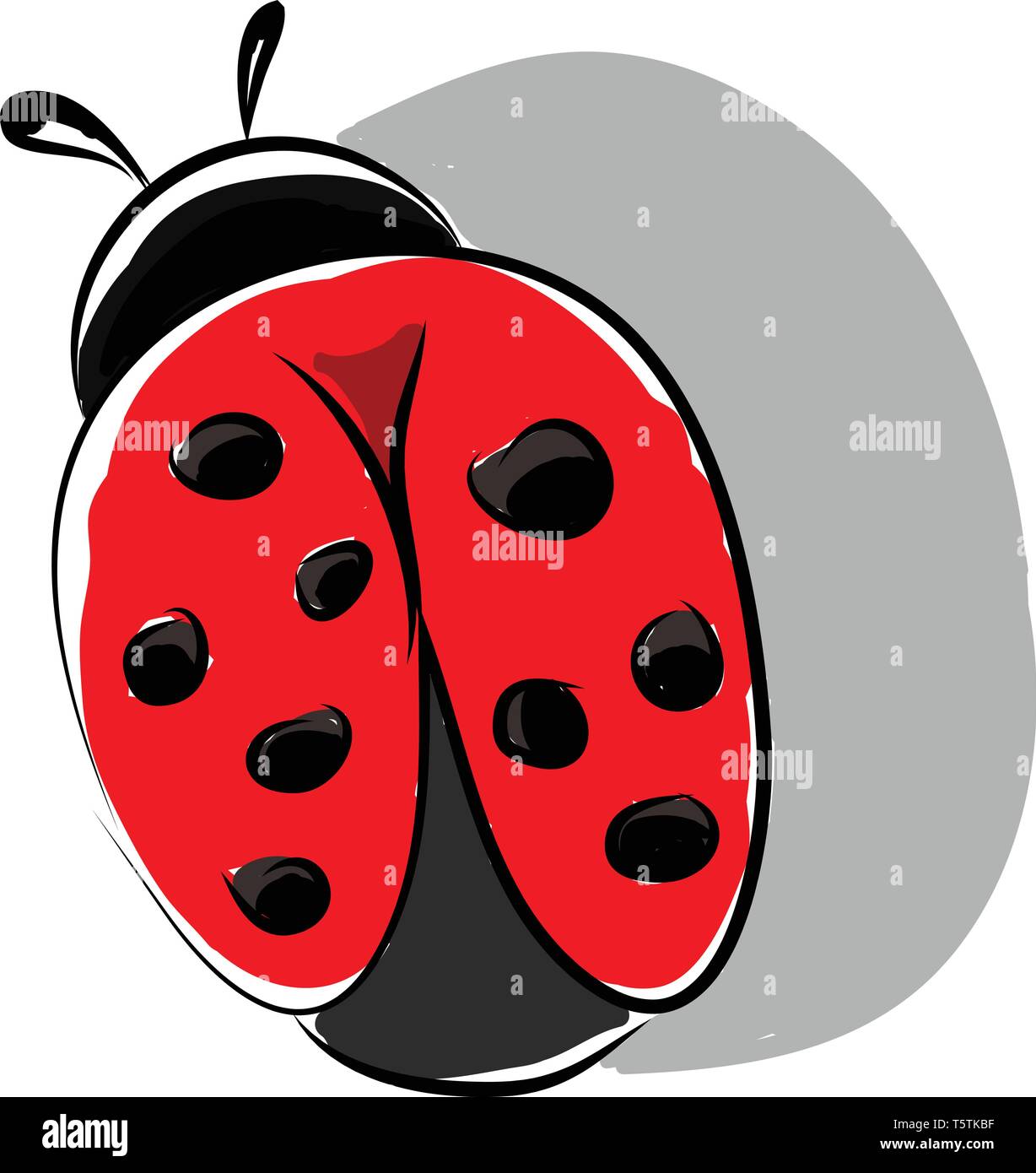 Ein Marienkäfer im Garten Vektor- oder Farbe Abbildung: Stock Vektor