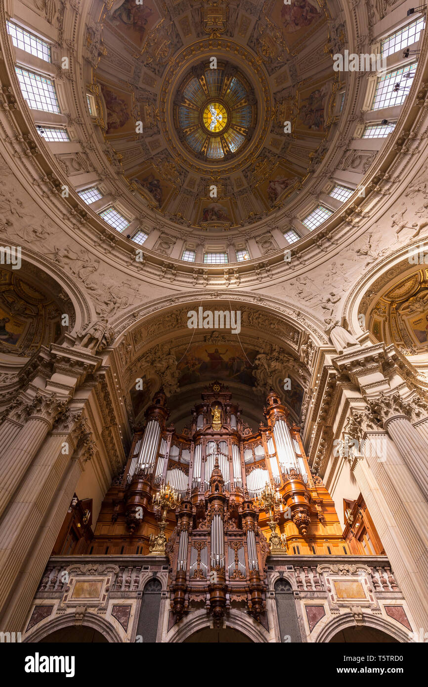 Orgel und verzierte Kuppel innerhalb der historischen Berliner Dom (Berliner Dom) in Berlin, Deutschland, gesehen von unten. Stockfoto