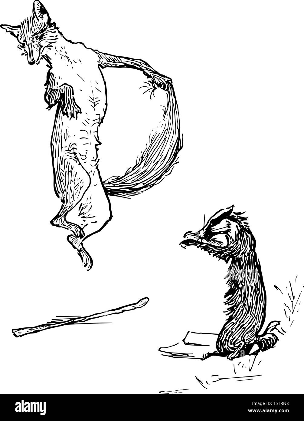 Ein Fuchs über einen Ast auf dem Boden und ein anderes Tier steht in der Nähe springen, vintage Strichzeichnung oder Gravur Abbildung Stock Vektor