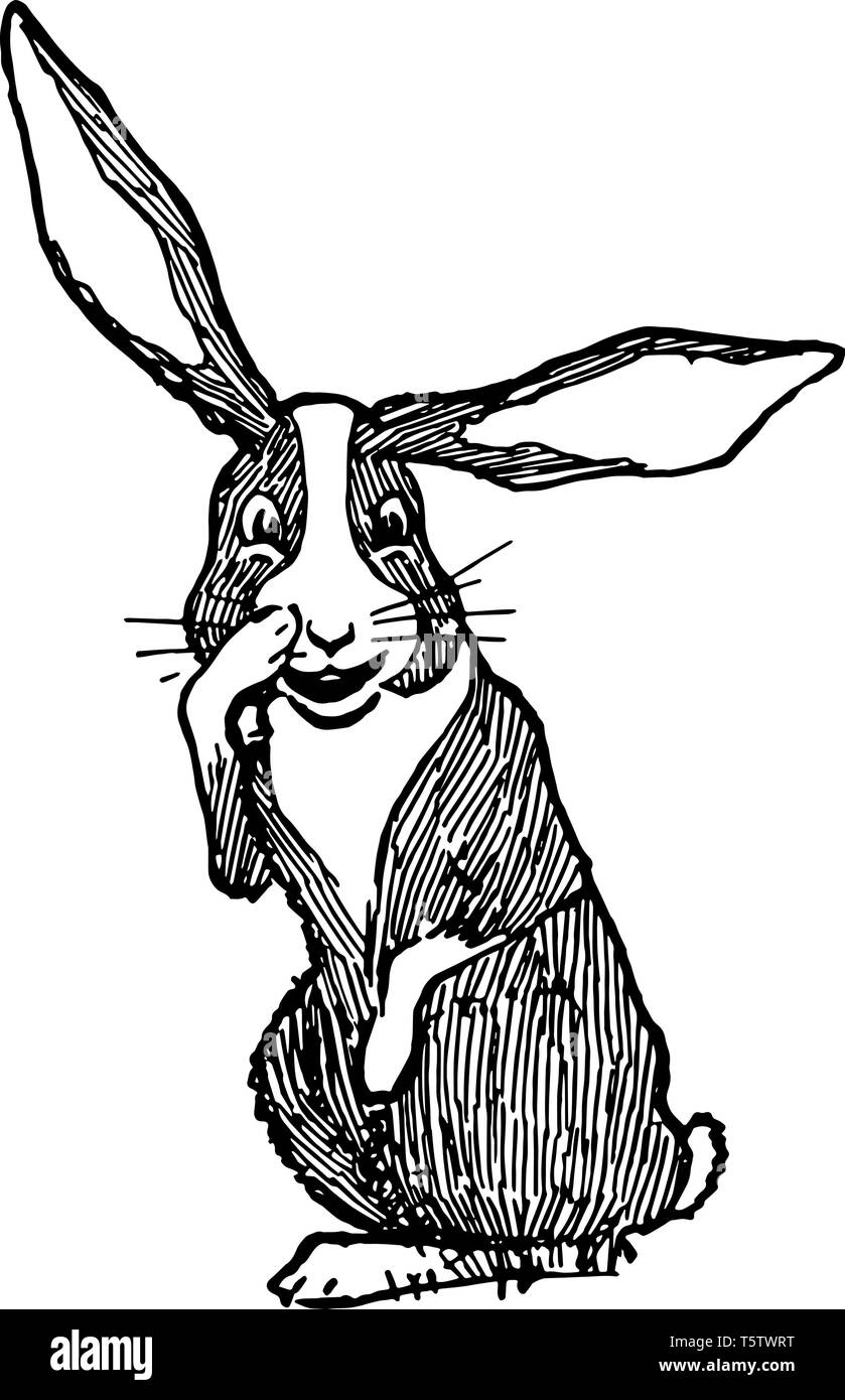 Kaninchen Kratzen Nase dieses Bild zeigt ein Kaninchen kratzen Nase vintage Strichzeichnung oder Gravur Abbildung Stock Vektor