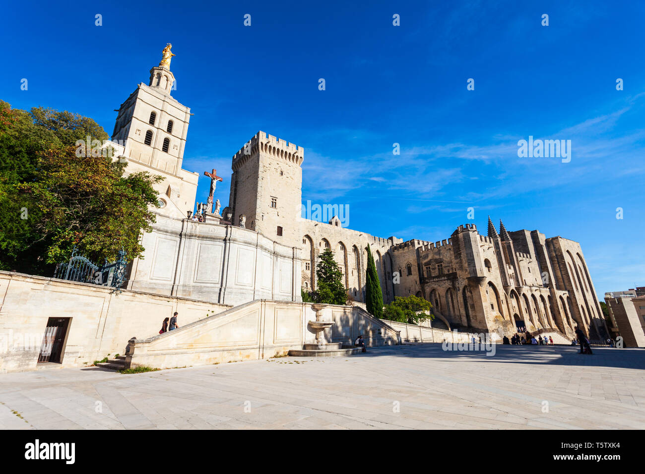 Palast der Päpste oder Palais des Papes, Avignon Kathedrale in der Stadt Avignon, Südfrankreich. Stockfoto