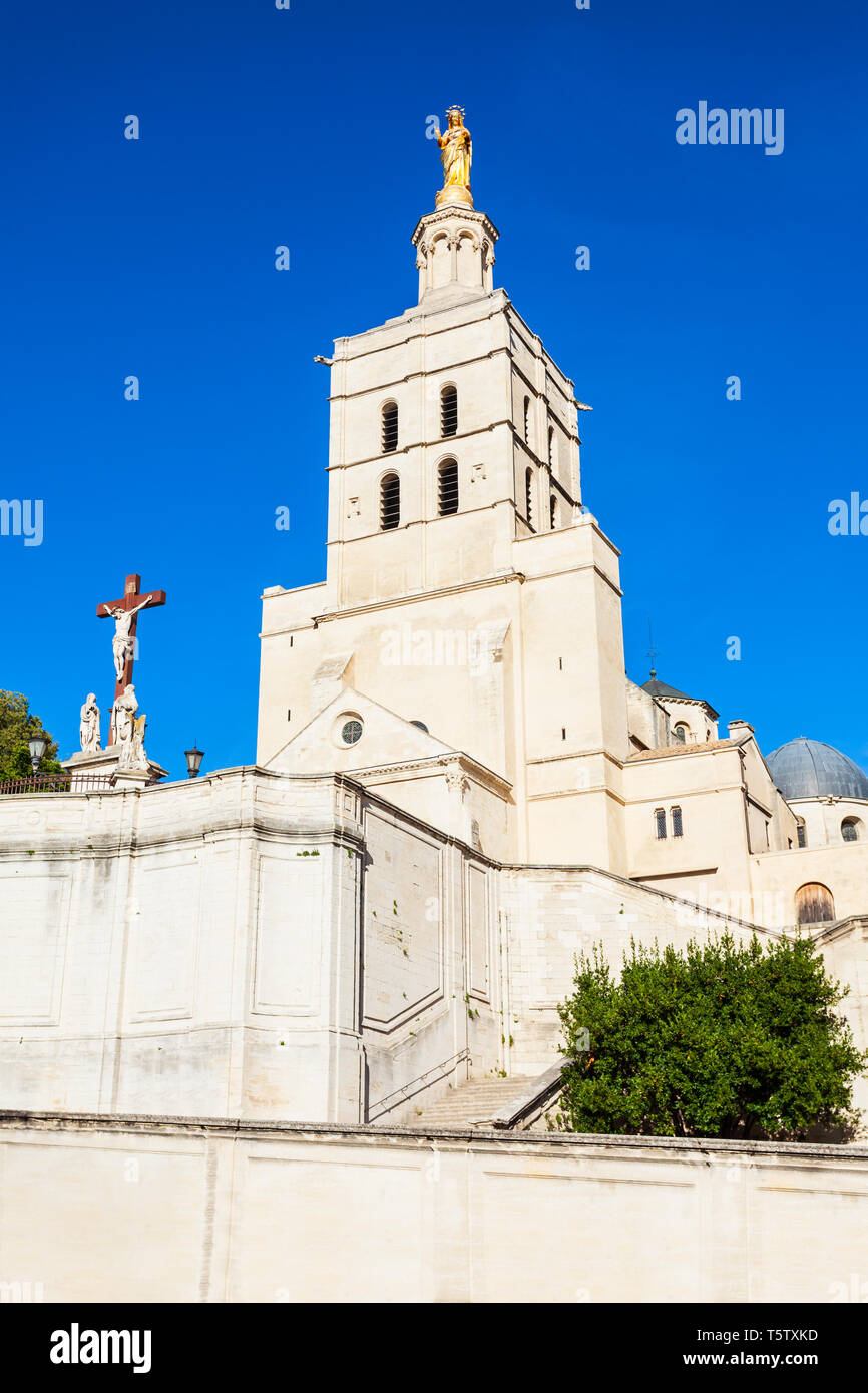 In der Kathedrale von Avignon Avignon Stadt, Südfrankreich. Stockfoto