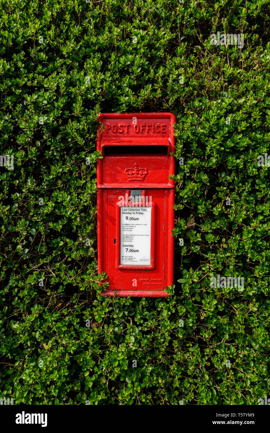 Ein traditionelles rotes British Post Office (Royal Mail) Briefkasten durch eine Hecke in Castle Douglas, Schottland umgeben. Stockfoto