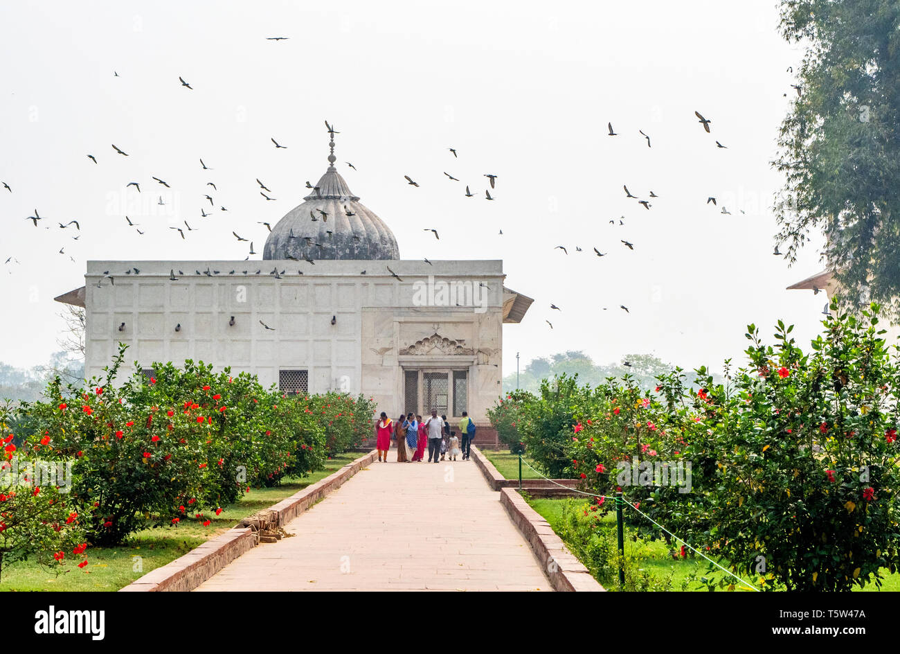 Die Khas Mahal Gebäude, das als private Residenz der Moghul-kaiser innerhalb des Red Fort in Delhi Nordindien serviert. Stockfoto