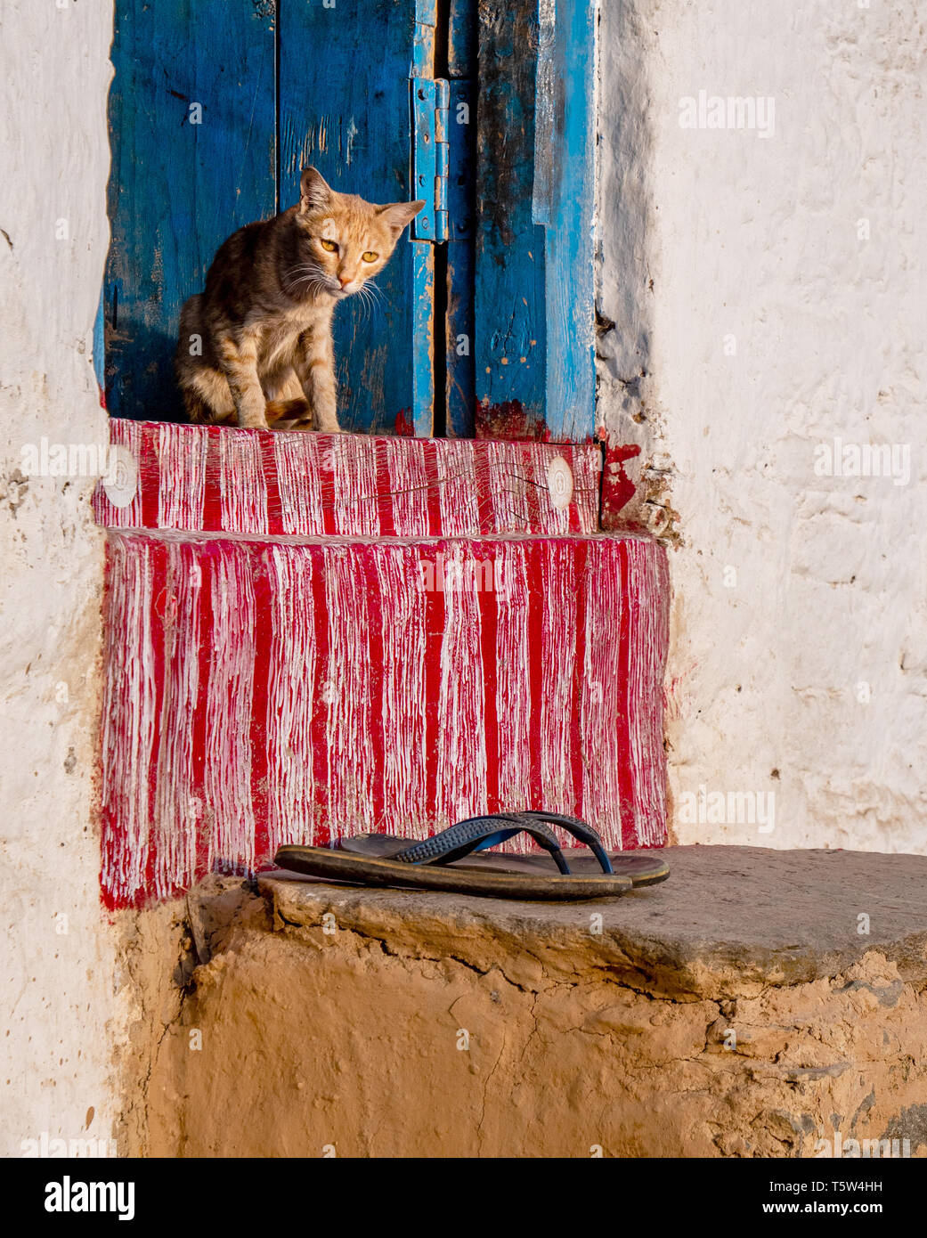 Schläfrige Katze und flip-flops auf dem traditionell bemalten Tür von einem Haus im Dorf an Supi in der Saryu Tal im Norden Indiens Stockfoto