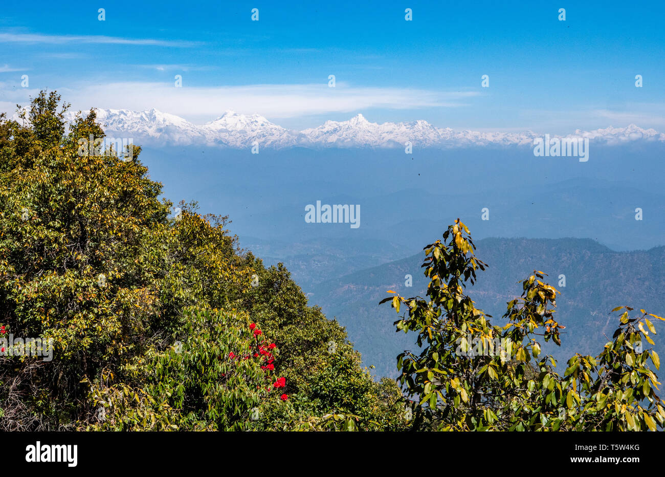 Sicht auf die schneebedeckten indischen Himalaya um Nanda Devi von 'Nullpunkt' in der binsar Region Uttarakhand im Norden Indiens Stockfoto