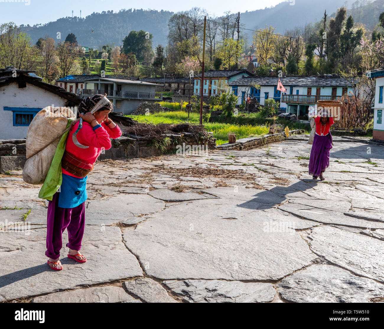 Frauen Tragen schwerer Lasten durch den Himalaja Dorf Supi in der Provinz Indien Uttarakhand Stockfoto