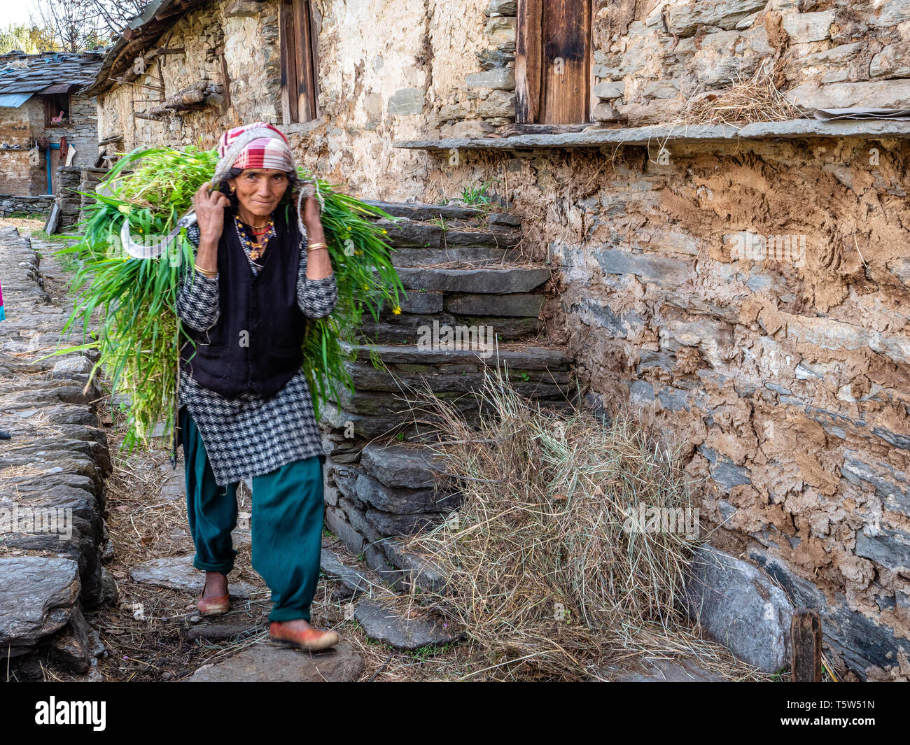 Lächelnde Frau tragen eine schwere Last von Futter für ihre Tiere durch den Himalaja Dorf Supi in der Provinz Indien Uttarakhand Stockfoto