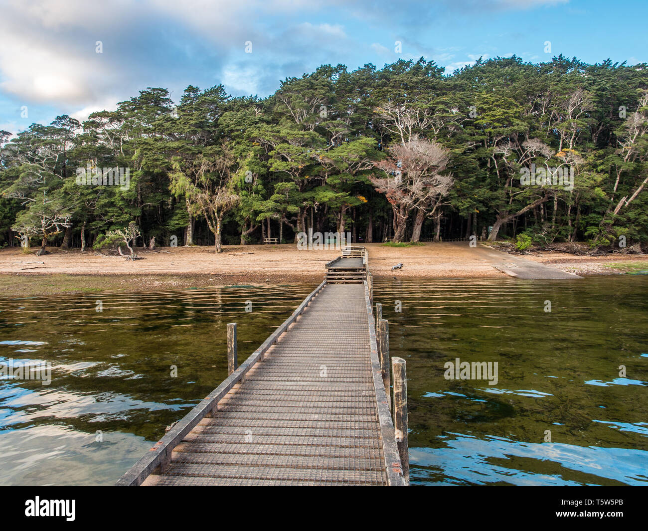 Wharf, führende aus heimischen Buchenwälder, über Wellen von Licht auf klares Wasser, Lake Hauroko, Fiordland National Park, Southland, Neuseeland Stockfoto