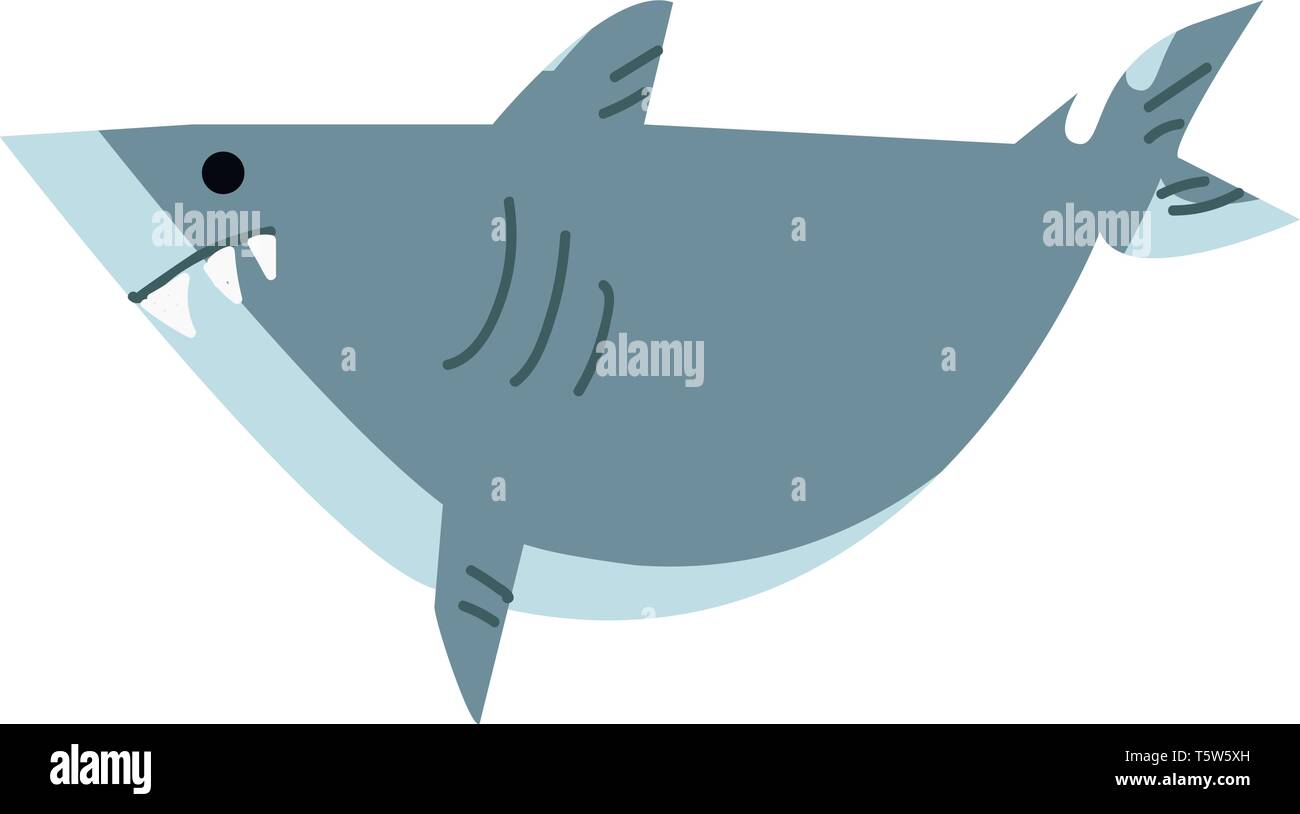 Wütend Shark auf der Suche nach Beute Vektor- oder Farbe Abbildung: Stock Vektor