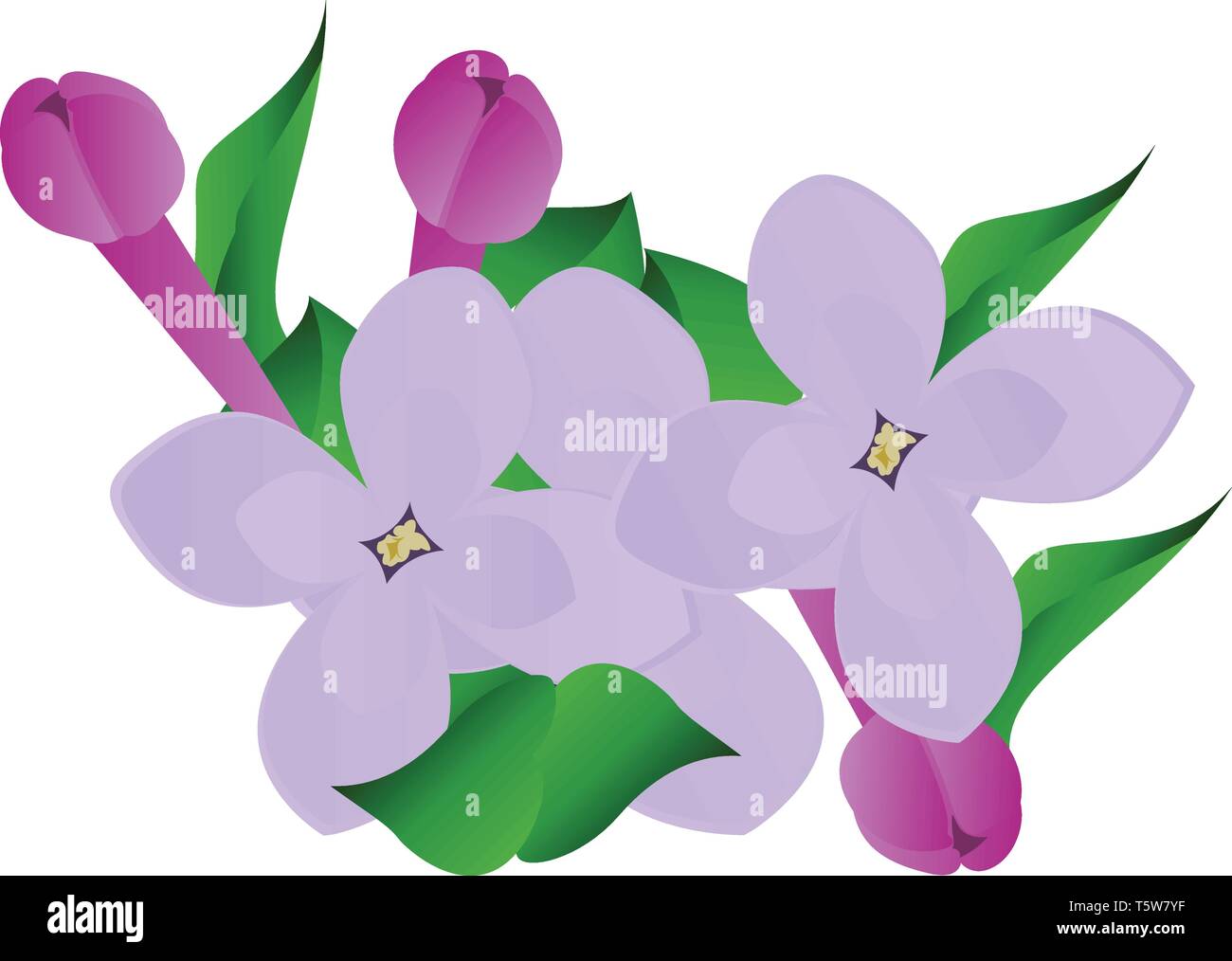 Vector Illustration von lila und violett lila Blüten mit grünen Blätter auf weißem Hintergrund. Stock Vektor