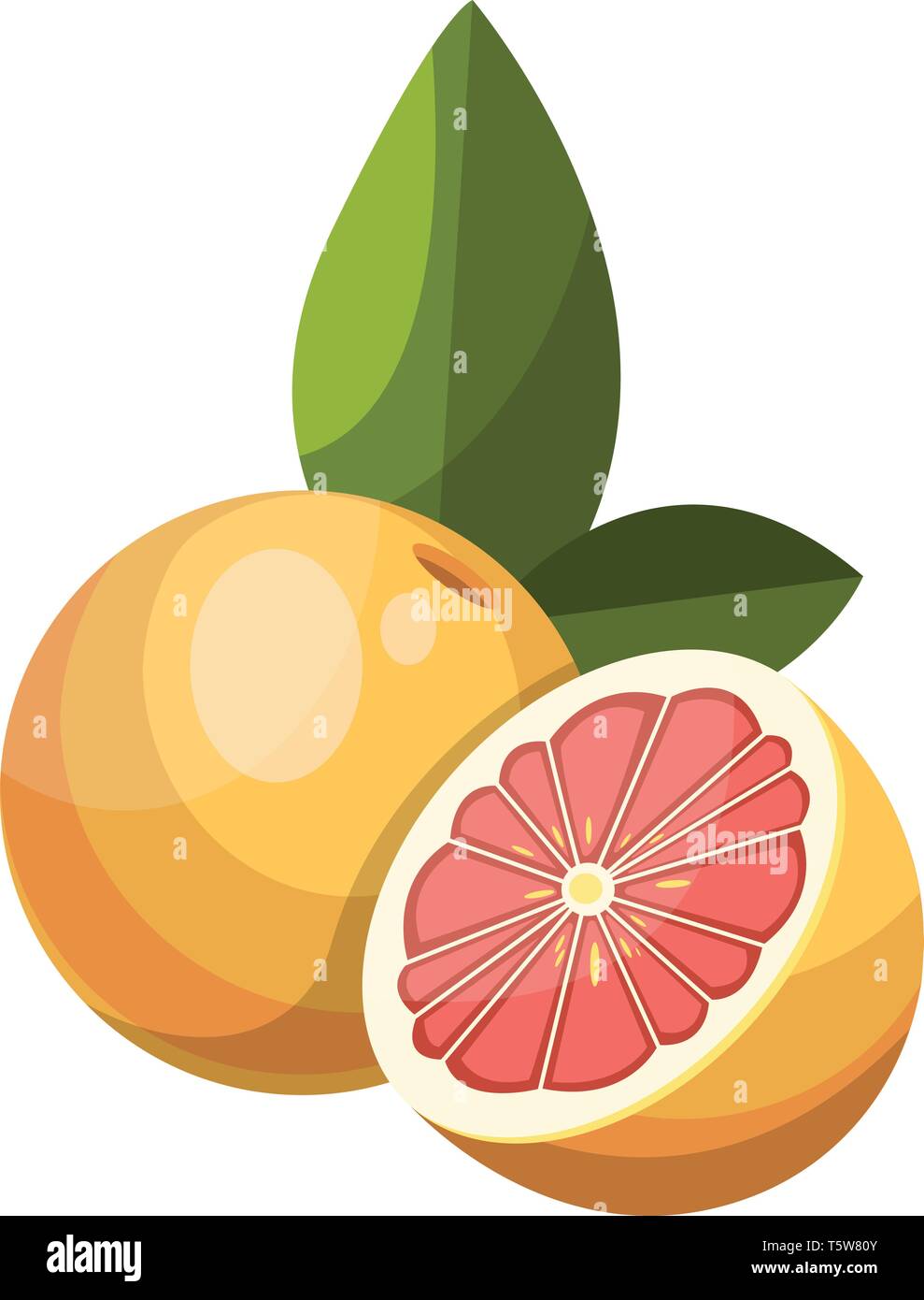 Cartoon von Gelbe Grapefruit halbiert Vector Illustration auf weißem Hintergrund. Stock Vektor