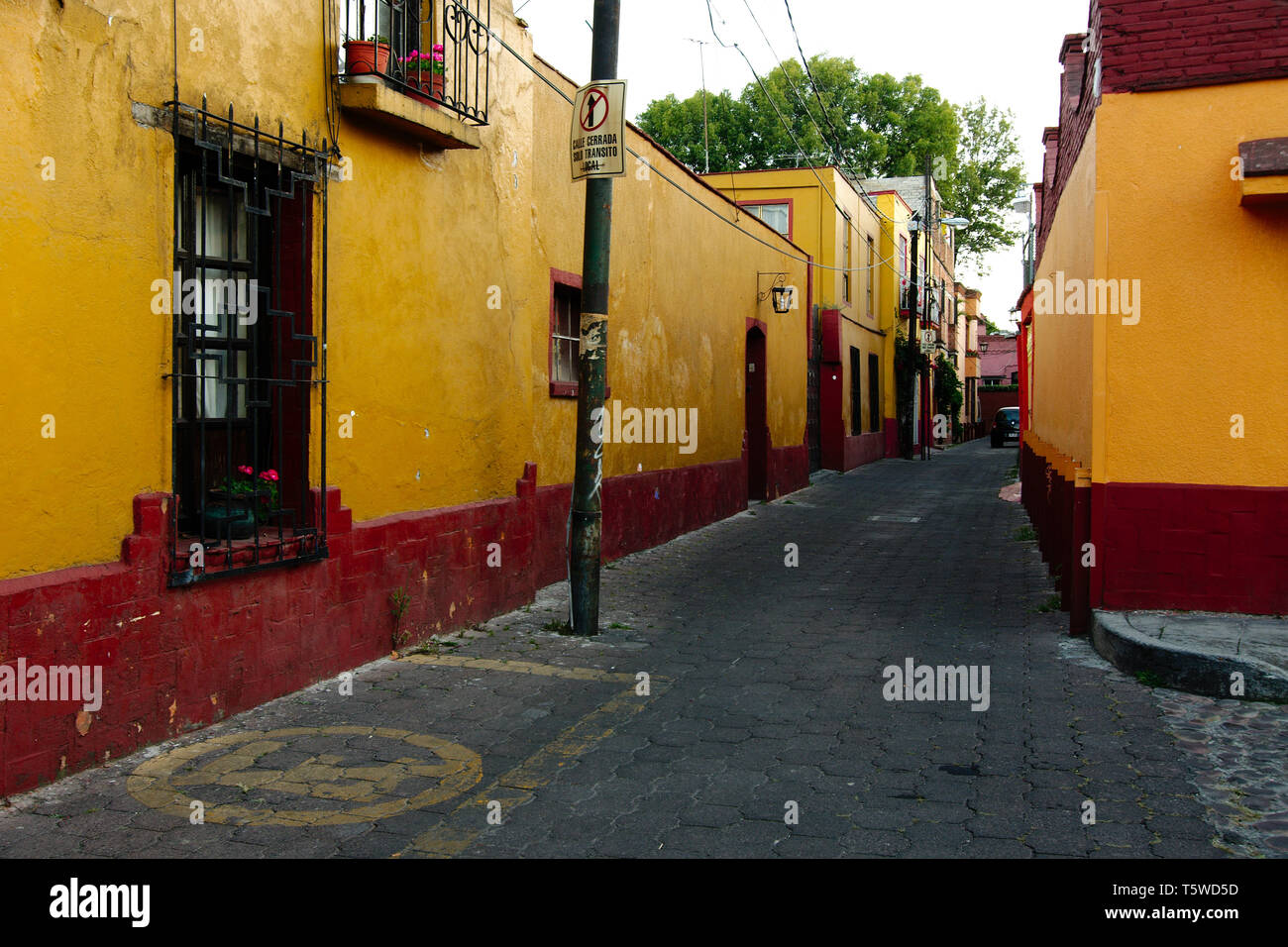 Mexiko City, Mexiko - 2019: eine schmale Straße mit Kopfsteinpflaster in der coyoacan Bezirk, mit Häusern, die in der typischen Architektur dieser Gegend. Stockfoto