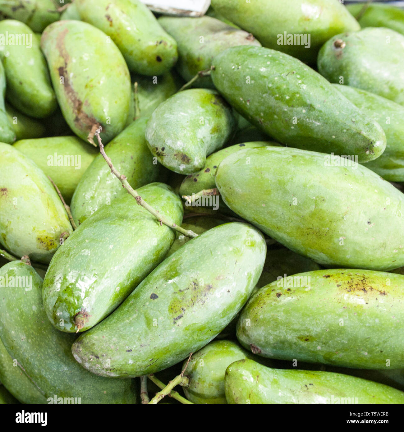 Mango Obst auf dem Gemüsemarkt in Phuket, Thailand Stockfoto