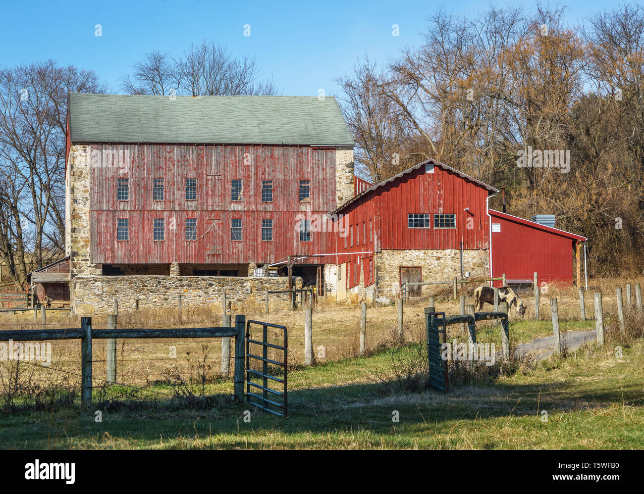 Eine typische ländliche Pennsylvania Scheune aus Stein und Holz gebaut. Rot lackierte Scheune Stockfoto
