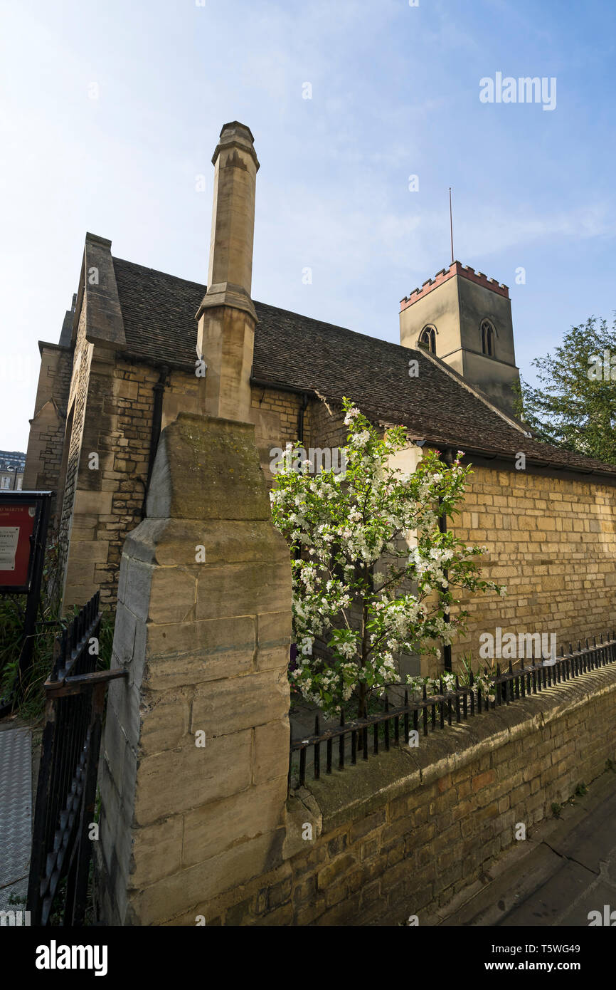 Kleiner Baum in voller Blüte St Edward King & Märtyrer C von E Kirche Cambridge 2019 Stockfoto