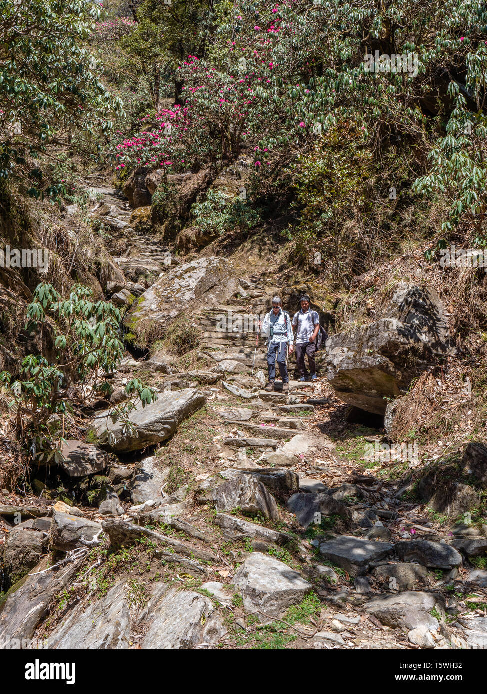 Wandern Auf steilen Bergpfaden über dem Saryu Tal im Himalaya von Uttarakhand im nördlichen Indien Stockfoto