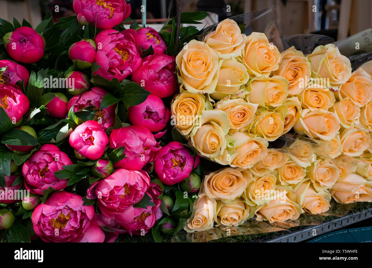 Rosen zum Verkauf in Paris' Marche d'Aligre Markt Stockfoto