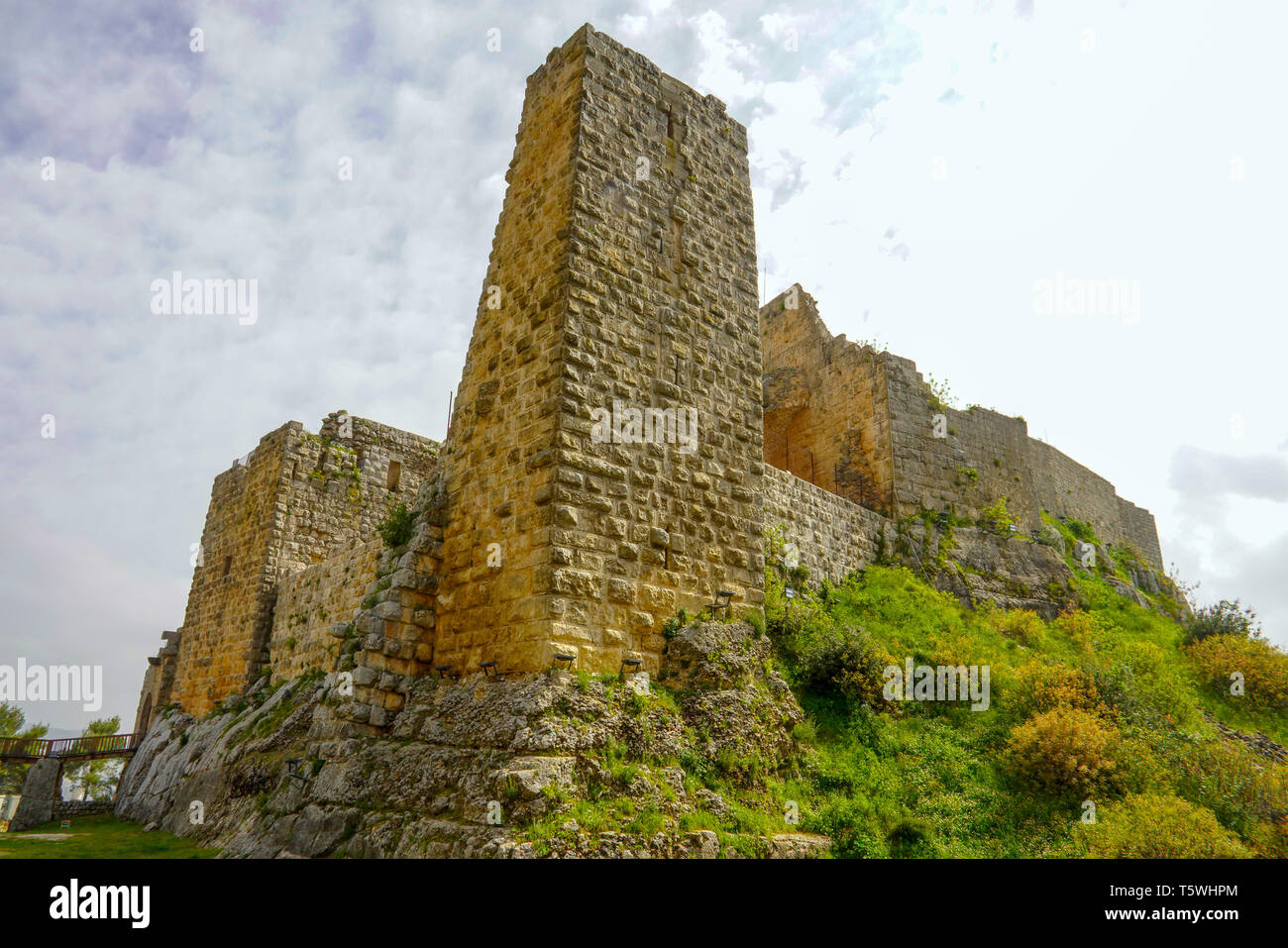 Blick auf die Burg Ajloun in Nord-westlichen Jordan. Wichtig fort für Arabische und Kreuzfahrer. Stockfoto