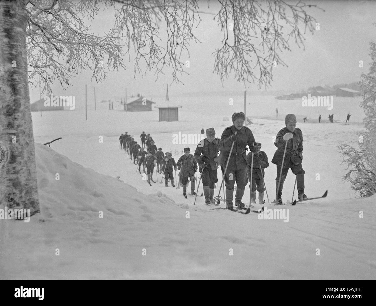 Im Winter Krieg. Ein militärischer Konflikt zwischen der Sowjetunion und Finnland. Es begann mit einer sowjetischen Invasion im November 1939, als sowjetische infantery die Grenze auf der Karelischen Landenge gekreuzt. Über 9500 Schwedische freiwillige Soldaten im Krieg teilgenommen. Abgebildeten Kanadischen freiwilligen Soldaten auf Skiern. Januar 1940. Foto Kristoffersson ref 100/11 Stockfoto