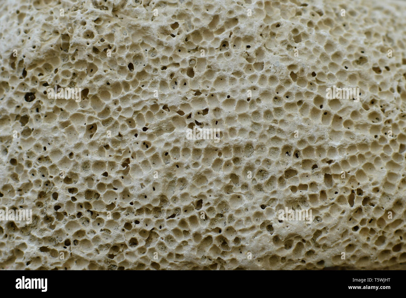 Bimsstein Hintergrund Textur. Kleine poröse Felsen am Strand abstrakte Detail. Stockfoto