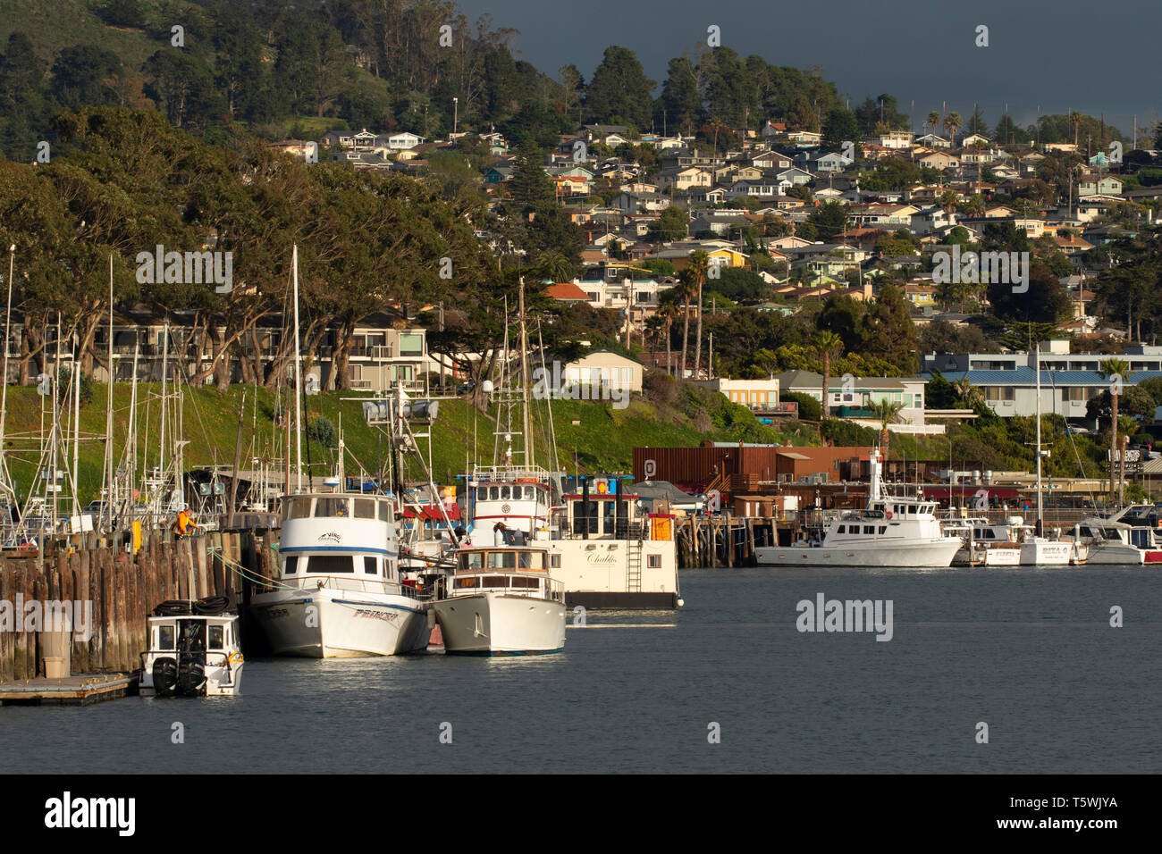 Waterfront, Morro Bay State Park, Kalifornien Stockfoto
