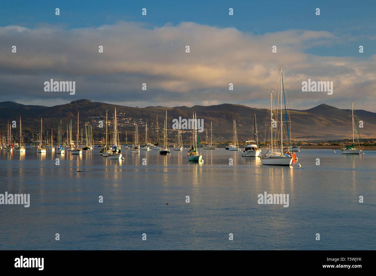 Angelegte Boote, Morro Bay State Park, Kalifornien Stockfoto