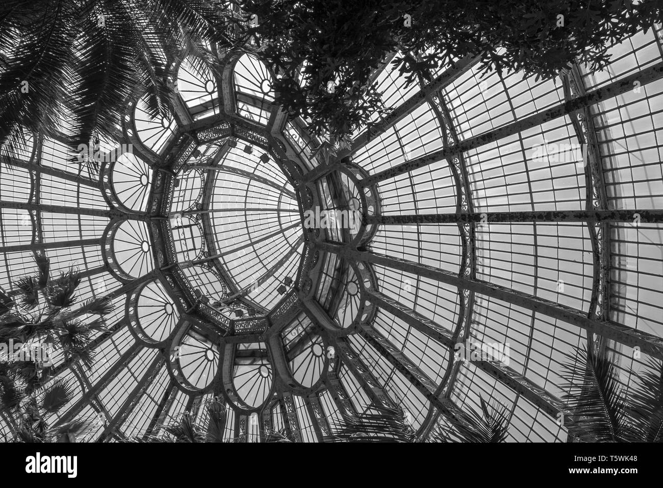 Schwarzweiß-Foto von verzierte Dach des Wintergartens an die Königlichen Gewächshäuser in Laeken. Das glasshouse Häuser, Palmen, Farne und tropischen Pflanzen. Stockfoto
