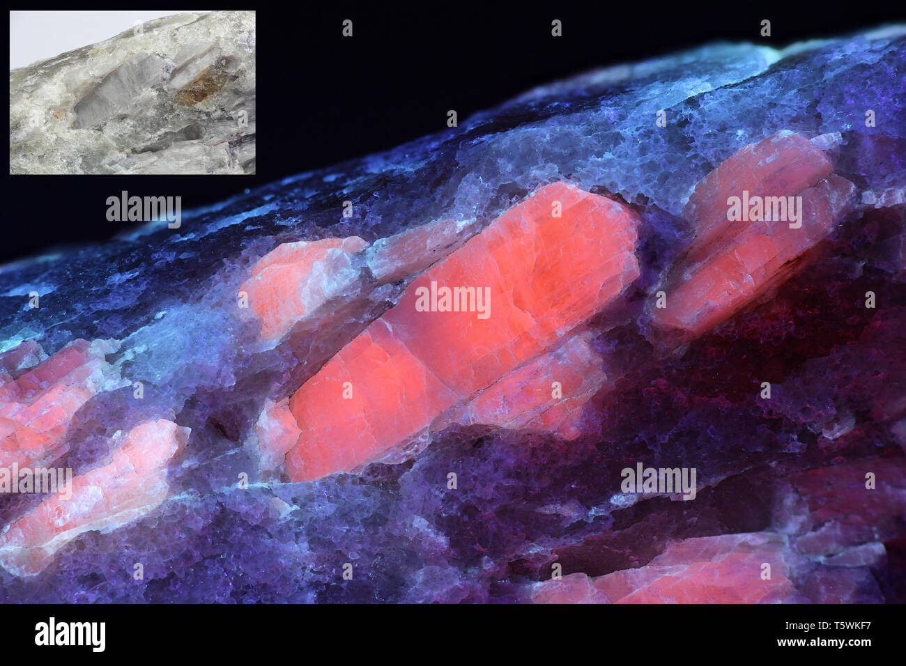 Kristalle von industriellen Lithium Erz spodumene zeigen rote Fluoreszenz im UV-Licht (365 nm). Kleineres Bild derselben Probe bei normalem Licht. Stockfoto