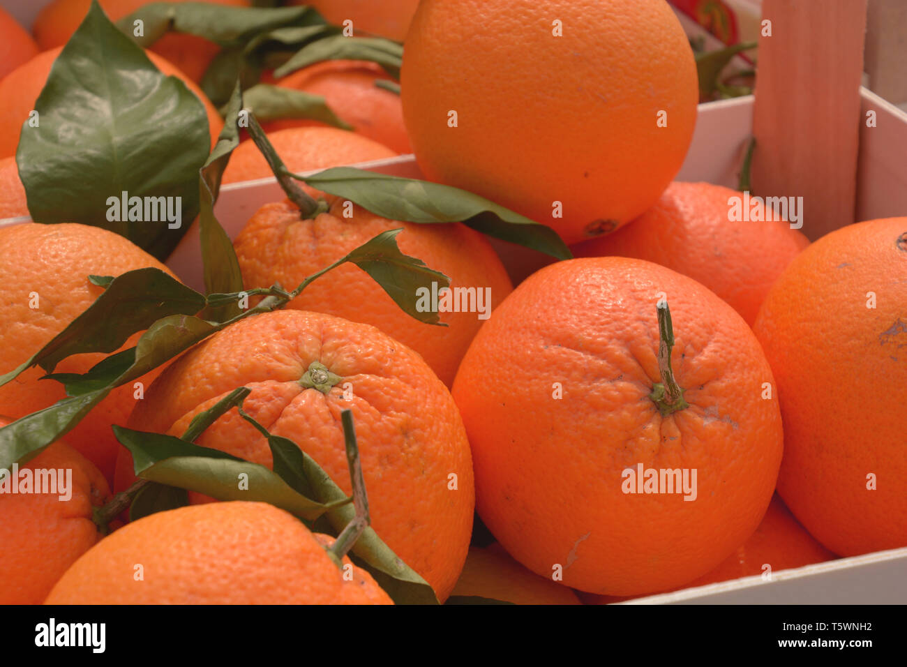 Orangen auf dem Markt mit grünen Blättern, saftige Orangen aus kontrolliert-biologischem Anbau liegen in Kisten aus Holz auf den Markt Stockfoto
