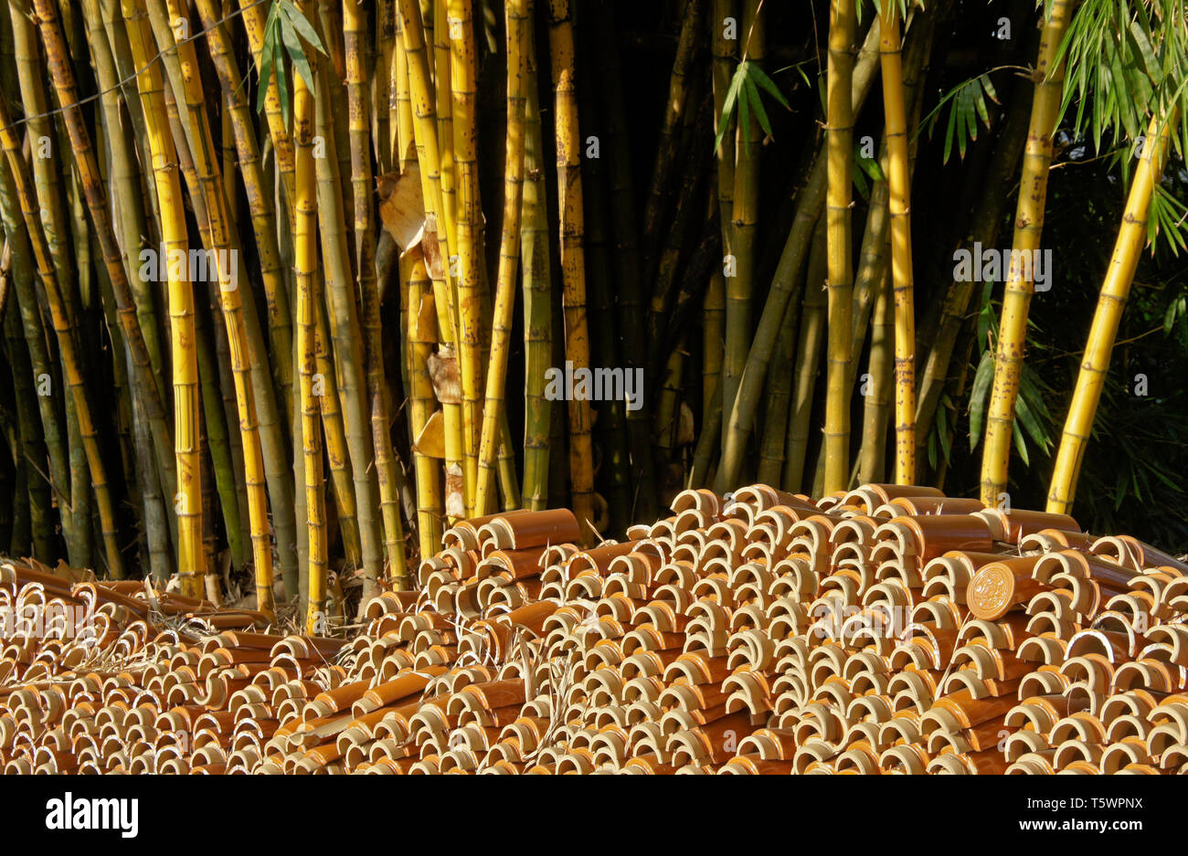 Keramische Dachziegel vor einem Stand von Bambus im Chinesischen Tempel gestapelt, Malaysia Stockfoto
