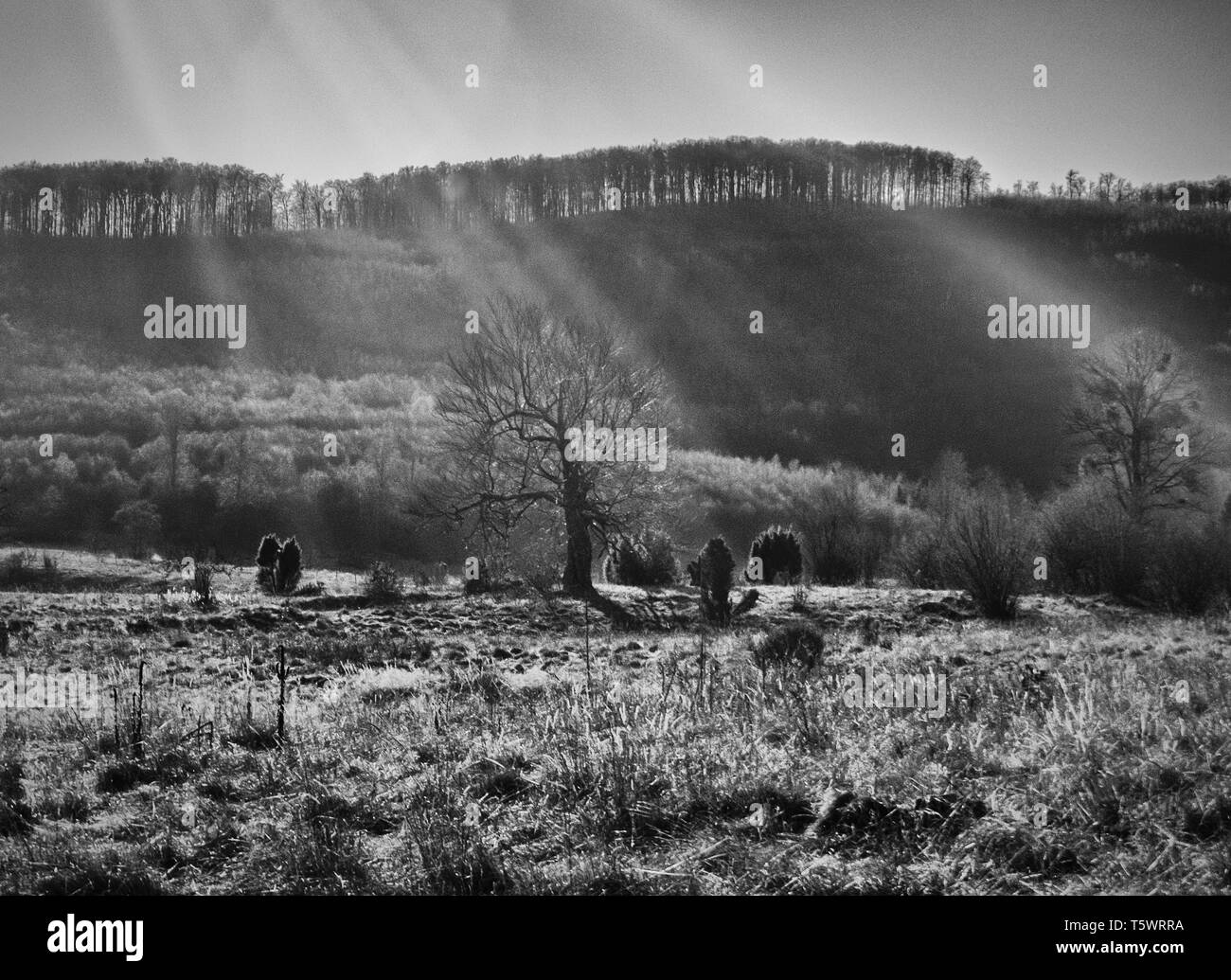 Die bükk Plateau im Bükk Nationalpark, Ungarn Stockfoto