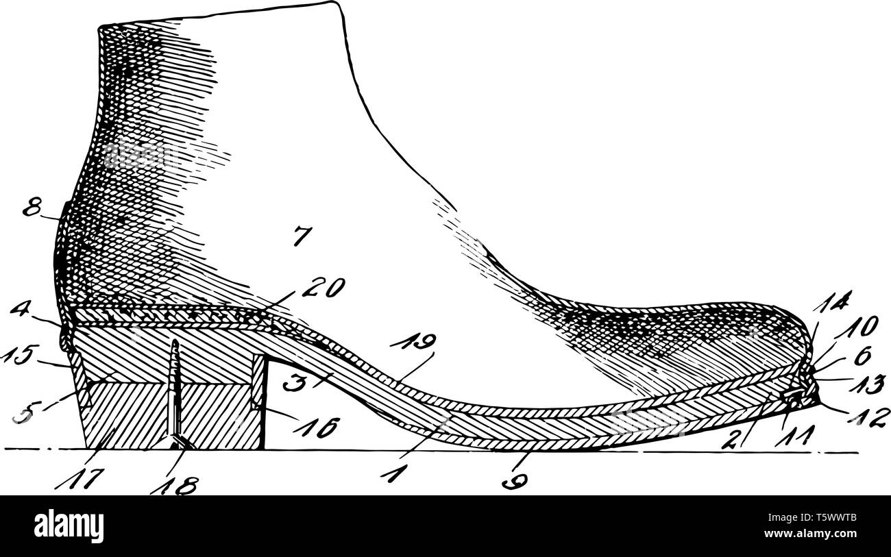 Schuh sind die menschlichen Fuß und später vintage Strichzeichnung oder Gravur Abbildung schützen. Stock Vektor