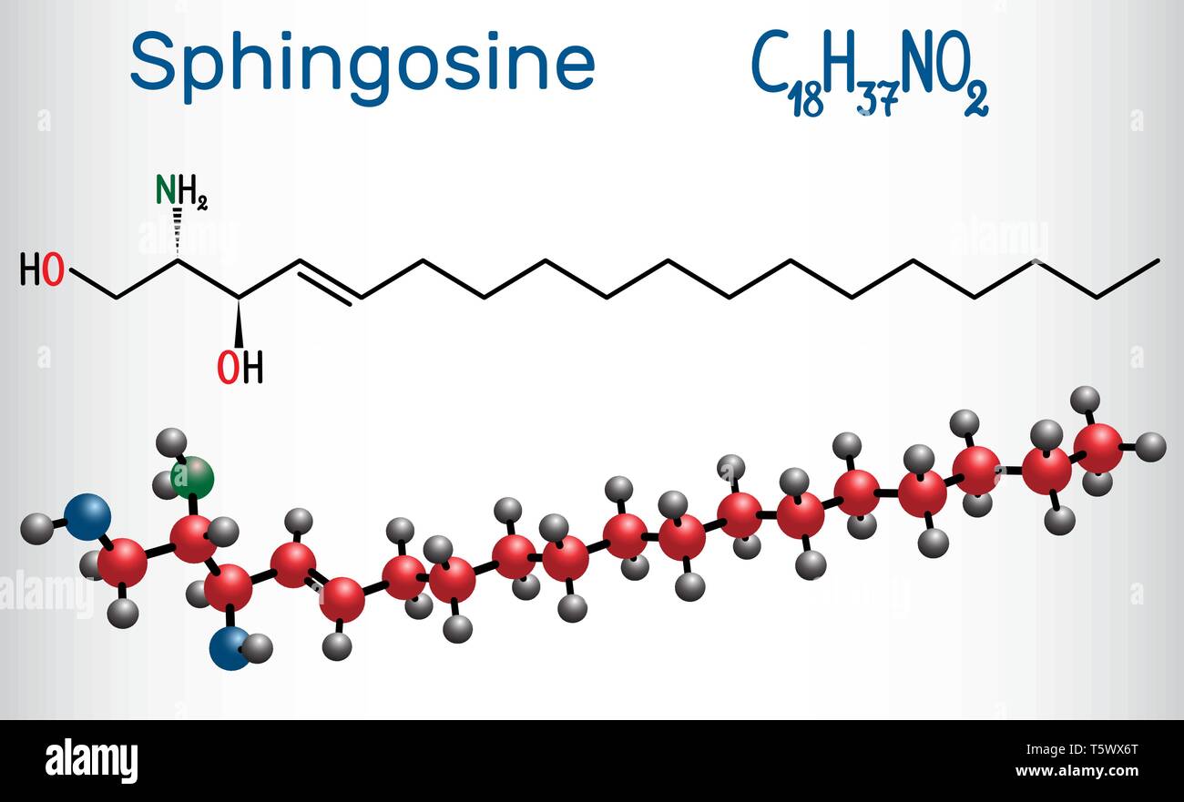 Sphingosin Molekül. Es ist eine Aminosäure Alkohol, bildet einen ersten Teil der sphingolipide. Strukturelle chemische Formel und Molekül-Modell. Vektor illustr Stock Vektor