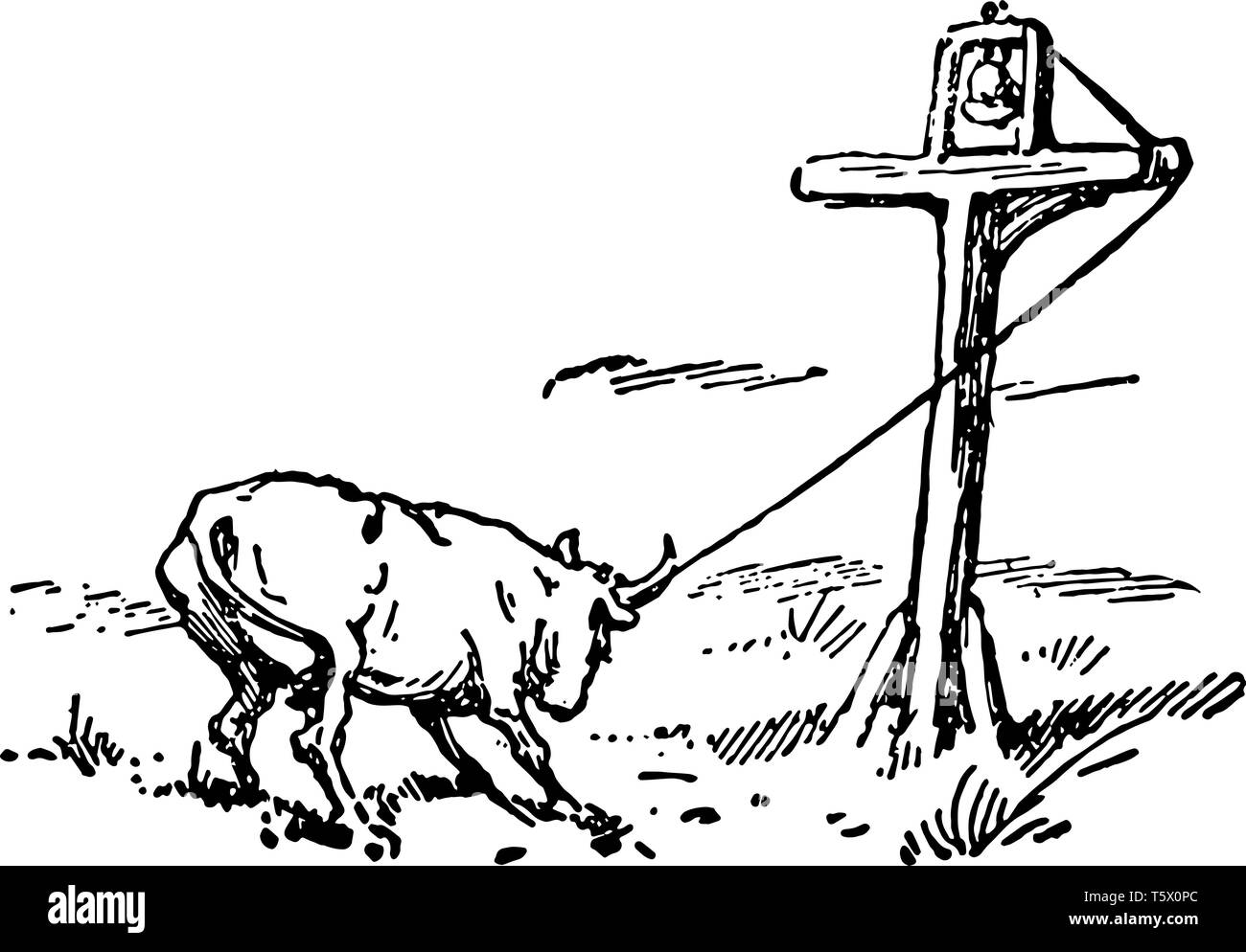 Der Tod und die Bestattung von Robin, diese Szene zeigt ein Tier Seil ziehen, die mit dem Kreuz verbunden ist, vintage Strichzeichnung oder Gravur Abbildung Stock Vektor