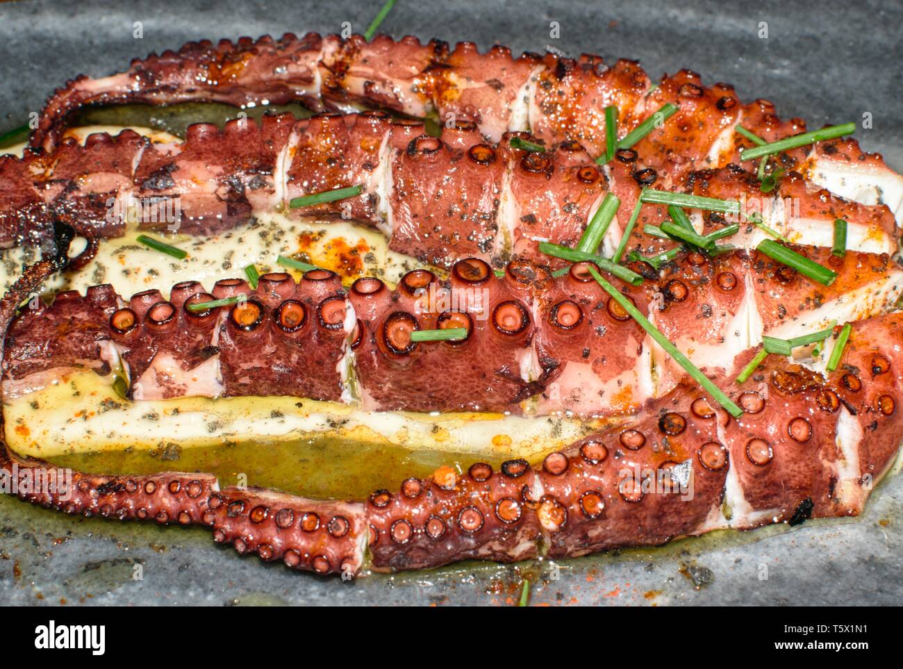 Grill Octopus Tentakeln serviert mit parmentier und Petersilie. Lecker Tintenfisch Tentakel, typisch Spanische Gerichte. BBQ Kraken Spanien, Galizisch Rezept. Stockfoto