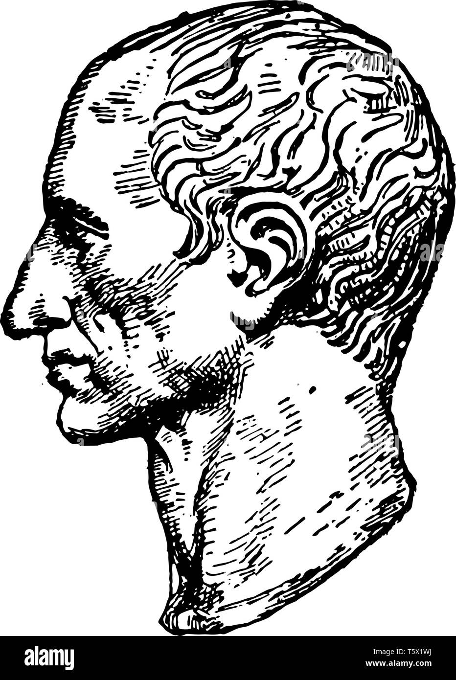 Büste von Julius Caesar 100 v. Chr. bis 44 v. Chr. Er war ein römischer Politiker und General berühmt als Thema der lateinischen Prosa vintage Strichzeichnung oder Gravur illustra Stock Vektor